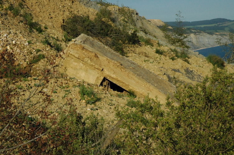 Mudslid Bunker