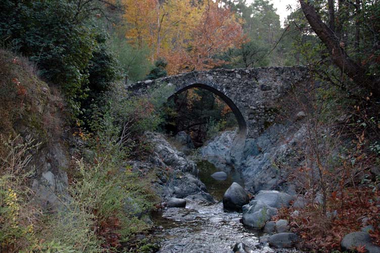 Venetian Bridge