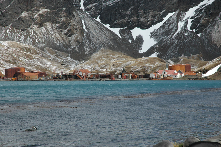 Grytviken