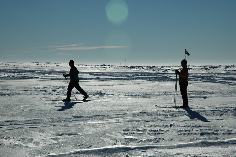 Halley VI architects out on skis