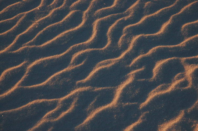 Patterns in the snow after the storm