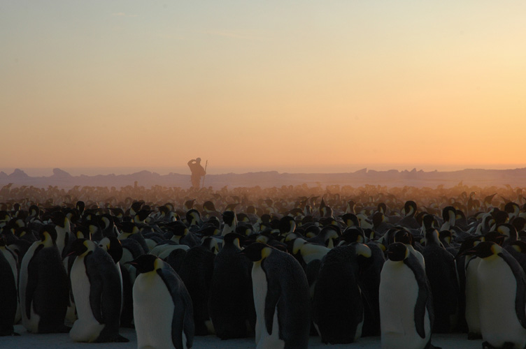 Simon through the haze above the penguins