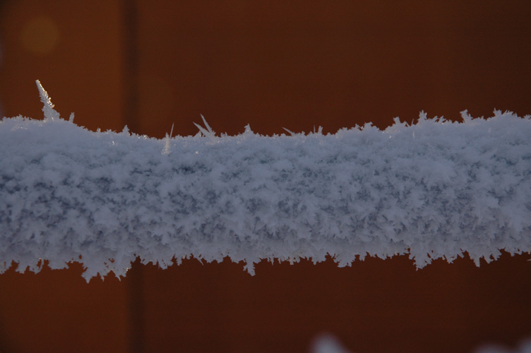 Rime ice on Piggott handrail