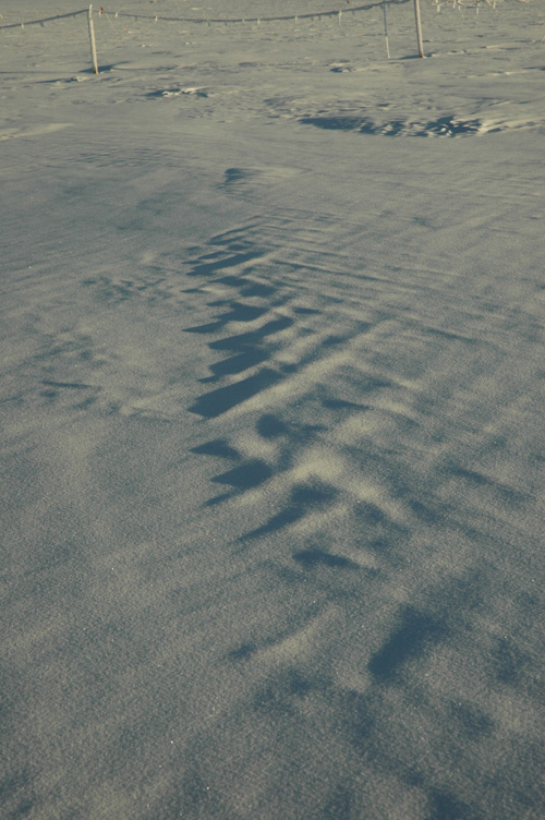 Cross hatching on the snow