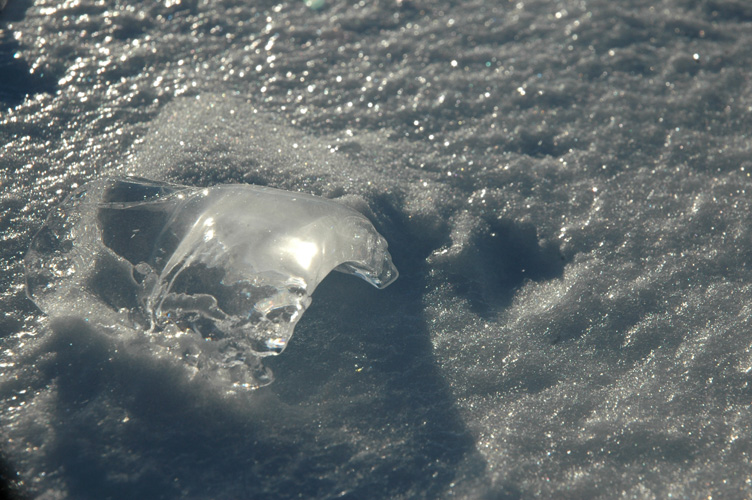 Bottle shaped ice