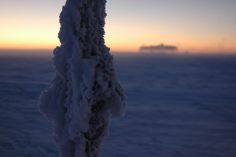 Ice grows on skis