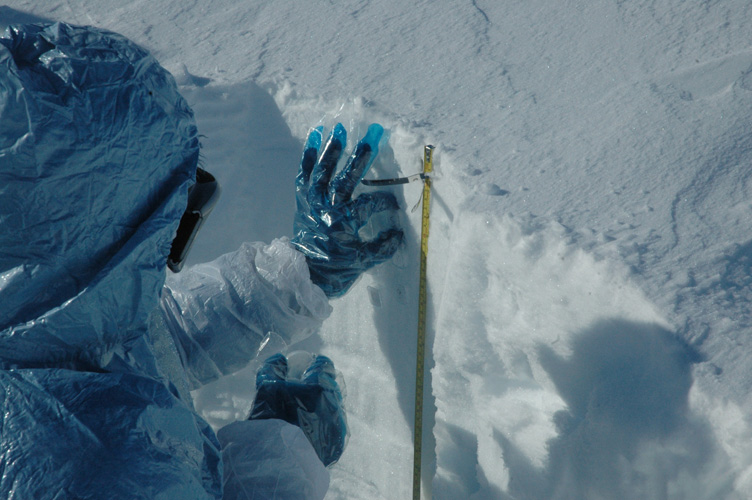 Tamsin takes the 10cm sample