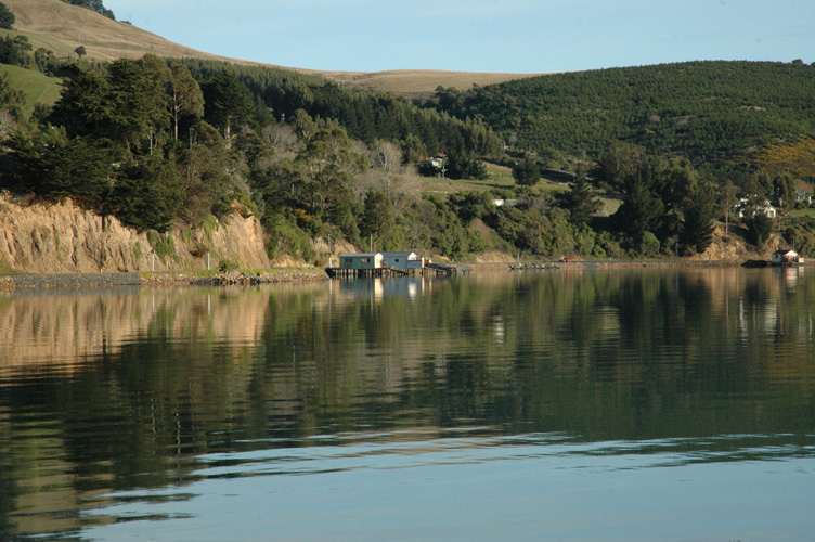 Oh, and it's stunning in New Zealand