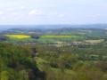 Malvern_200605/cimg0437.jpg