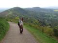 Malvern_200605/cimg0487.jpg