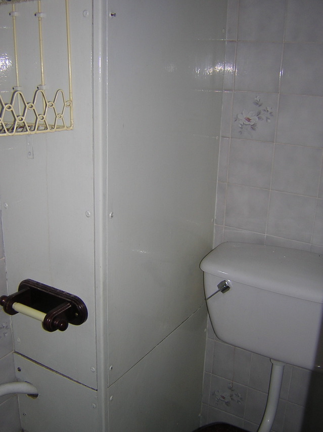 Downstairs loo