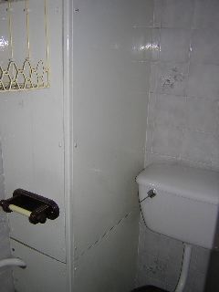 Downstairs loo
