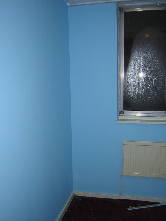 Study - second coat finished