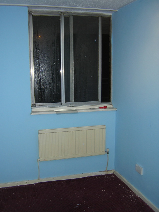 Study - first coat