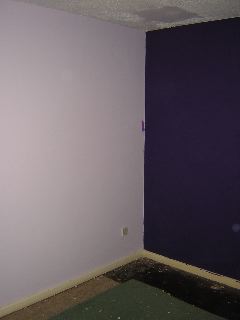 Both purples in the spare room