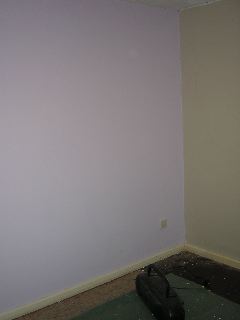 Purple in spare room