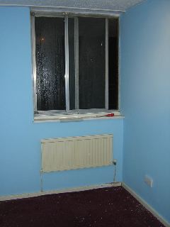 Study - first coat