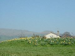 DSCF0050.JPG