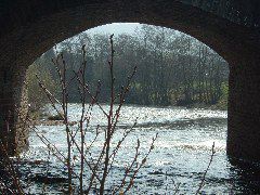 DSCF0043.JPG
