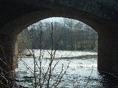 DSCF0042.JPG