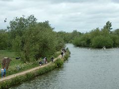 DSCF0080.JPG