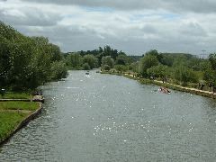 DSCF0011.JPG