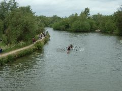 DSCF0091.JPG