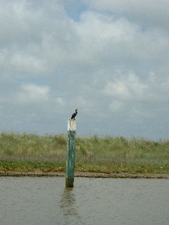 DSCF0221.JPG