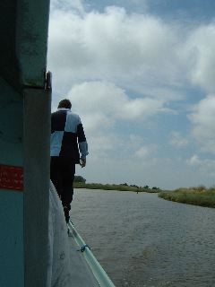 DSCF0220.JPG