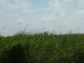 DSCF0194.JPG