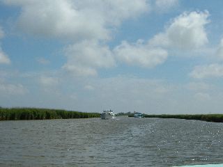DSCF0191.JPG