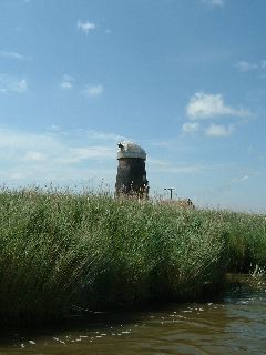DSCF0189.JPG