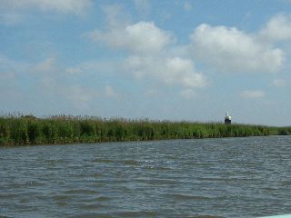 DSCF0172.JPG