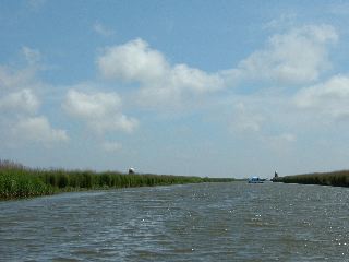 DSCF0171.JPG