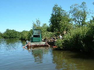 DSCF0043.JPG