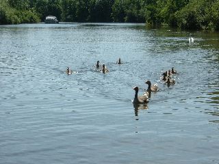 DSCF0038.JPG