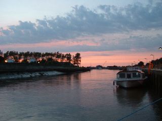DSCF0246.JPG