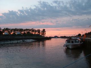 DSCF0245.JPG