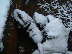 DSCF0034.JPG