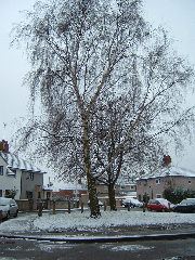 DSCF0032.JPG