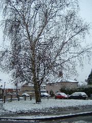 DSCF0031.JPG