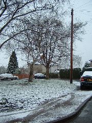 DSCF0029.JPG