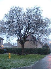 DSCF0044.JPG