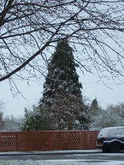 DSCF0026.JPG