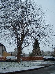 DSCF0025.JPG