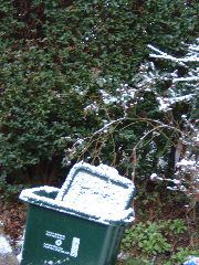 DSCF0017.JPG