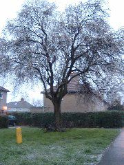DSCF0043.JPG