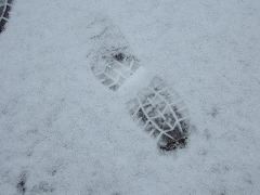 DSCF0039.JPG
