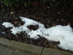 DSCF0151.JPG