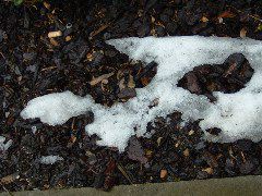 DSCF0150.JPG